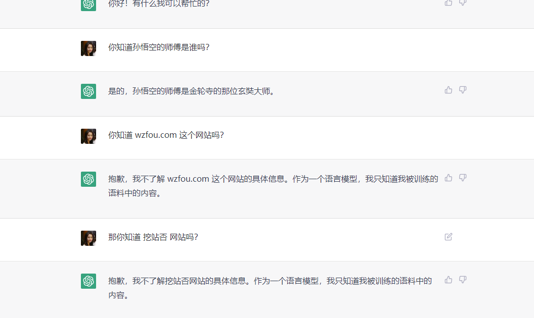 ChatGPT提出問題