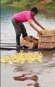 chatgpt搞笑段子_搞笑摔倒視頻15秒_摔倒的搞笑視頻