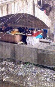 搞笑心疼話_心痛搞笑段子_chatgpt搞笑段子
