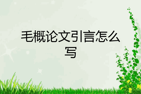 引言怎么寫 范文 毛概論文引言怎么寫