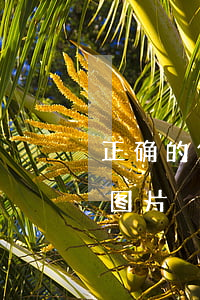 正確的借條格式圖片 正規(正規借條書寫格式圖片)