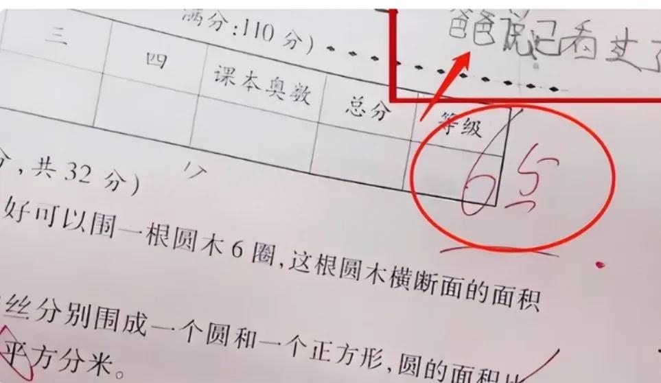 試卷分析怎么寫家長評語_試卷家長分析怎么寫_試卷家長寫分析評語大全
