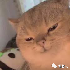 chatgpt幫忙看論文_論文查看器_看論文的工具