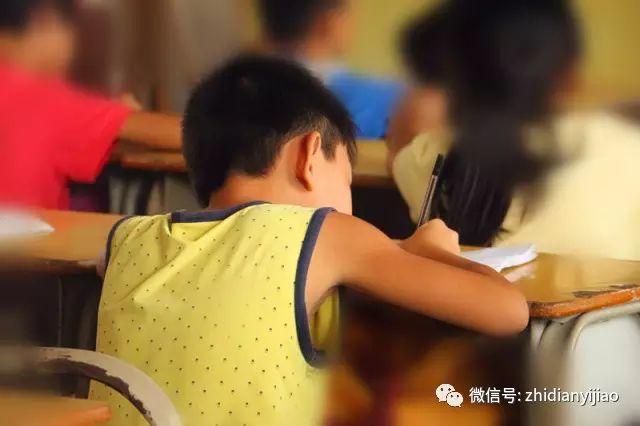 大綱和大綱解析_講解大綱怎么寫_大綱內容